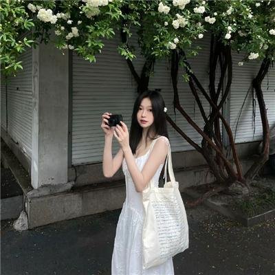 秩序信条